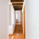 Casas Da Comedia * Coimbra